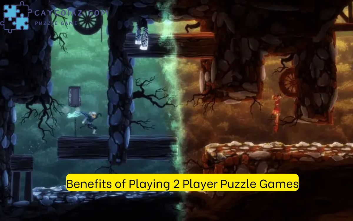 Benefits of Playing 2 Player Puzzle Games